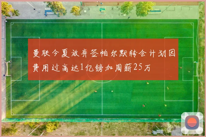 曼联今夏放弃签帕尔默转会计划因费用过高达1亿镑加周薪25万