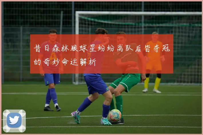 昔日森林狼球星纷纷离队后皆夺冠的奇妙命运解析
