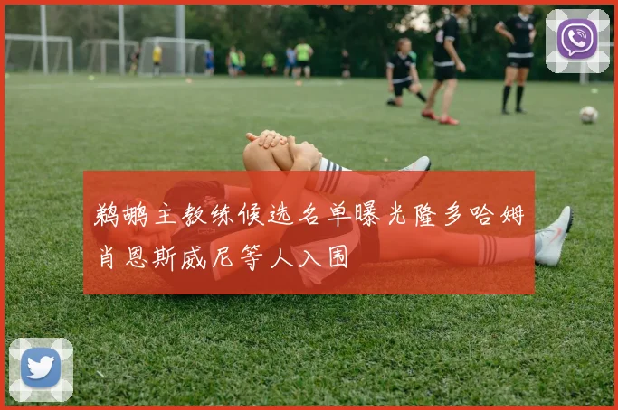 鹈鹕主教练候选名单曝光隆多哈姆肖恩斯威尼等人入围