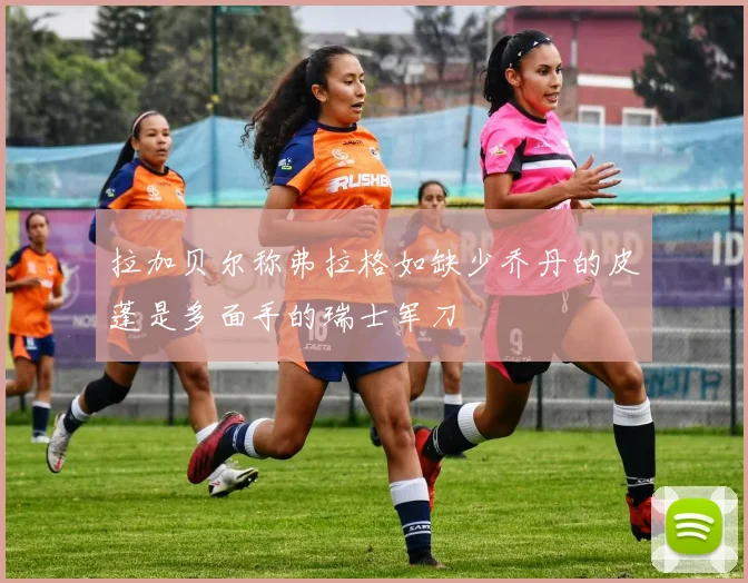 拉加贝尔称弗拉格如缺少乔丹的皮蓬是多面手的瑞士军刀